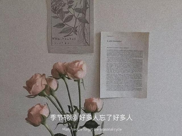 文案情感作文(温暖治愈系电台文本)