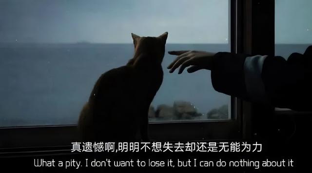 文案情感作文(温暖治愈系电台文本)