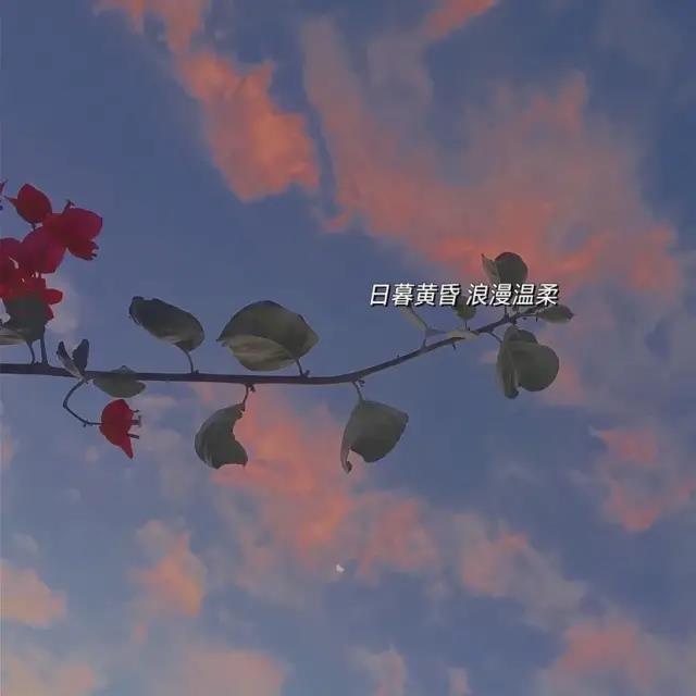 精美朋友圈说说 很特别的短句子