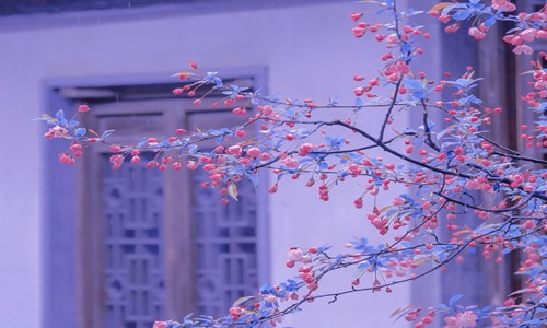 早安短句正能量一句话 特别暖心的阳光句子