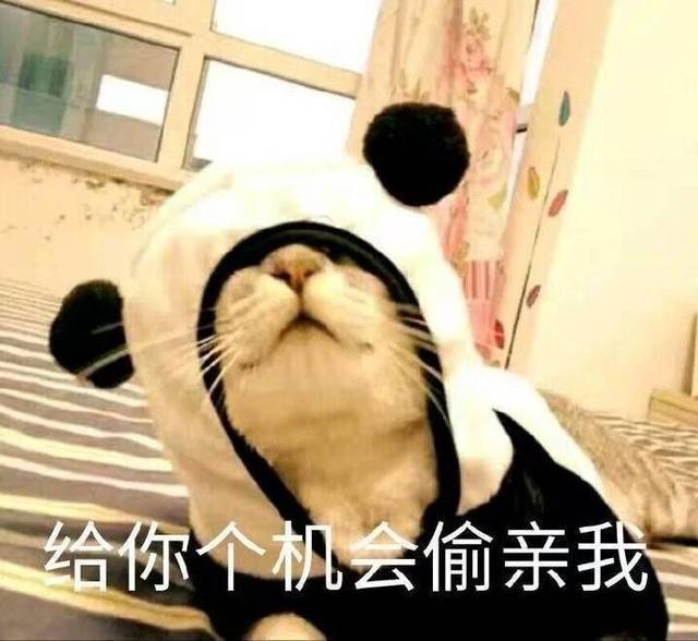 想你的失眠夜句子 睡不着的句子说说心情
