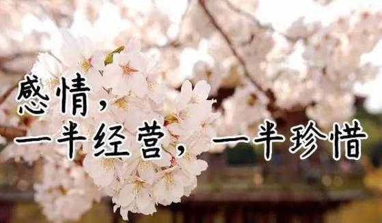十句话穿透人心人生感悟的句子大全