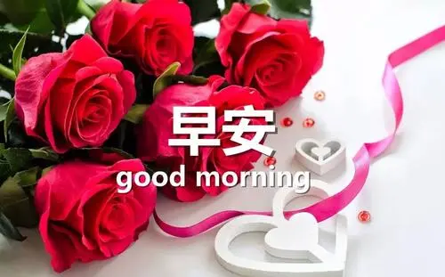 抖音早安语录干净好听 抖音最火的早安句子