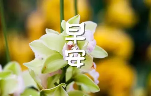 抖音早安语录干净好听 抖音最火的早安句子