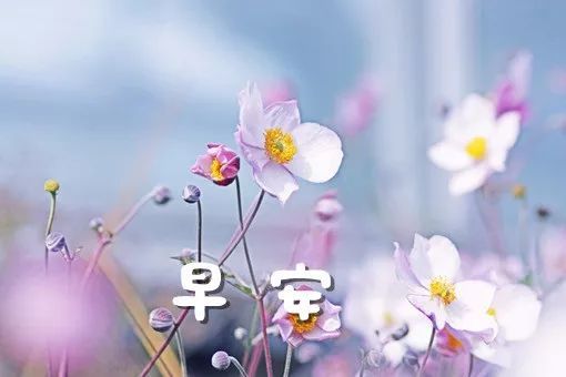 超级温柔早安文案 适合早上发朋友圈的句子