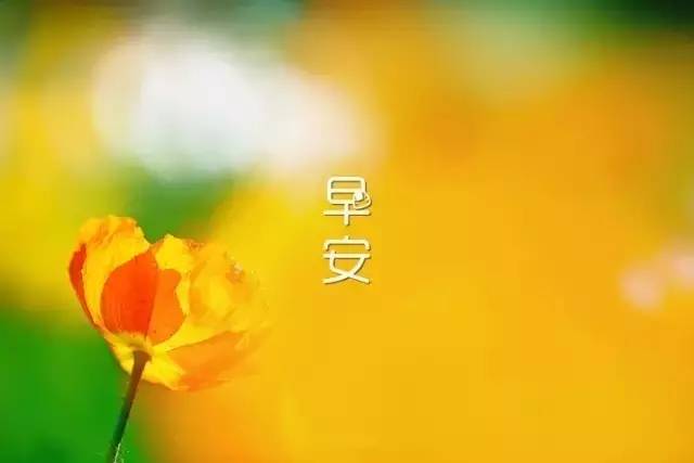 超级温柔早安文案 适合早上发朋友圈的句子