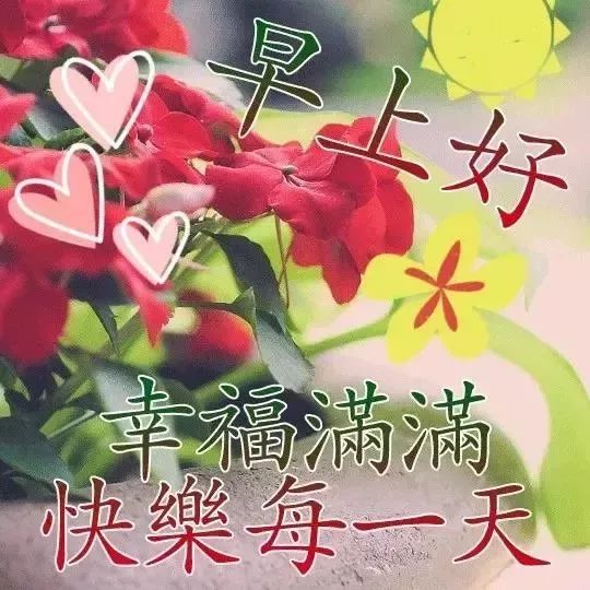 超级温柔早安文案 适合早上发朋友圈的句子