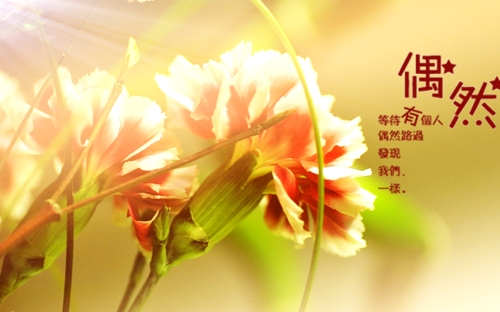 惊喜来得太突然的朋友圈说说(精选54句)