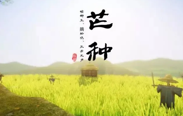 芒种节气发给客户的问候 适合芒种节气发的朋友圈