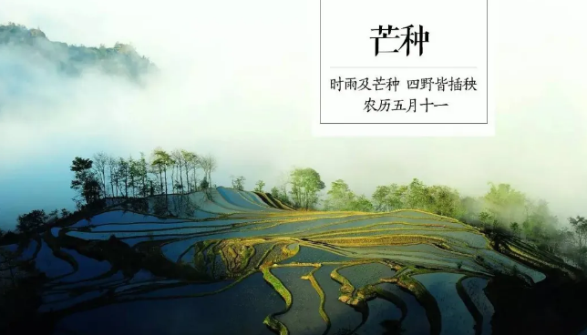 芒种节气发给客户的问候 适合芒种节气发的朋友圈