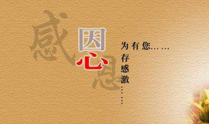 感恩相遇的句子经典语录 感恩遇见的简短暖心话