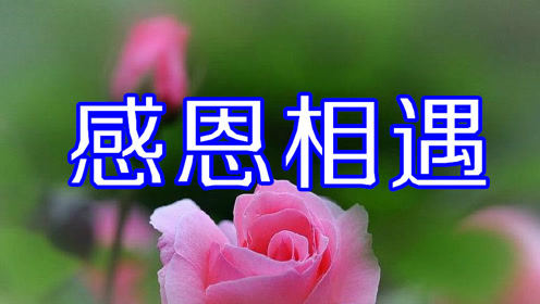 感恩相遇的句子经典语录 感恩遇见的简短暖心话