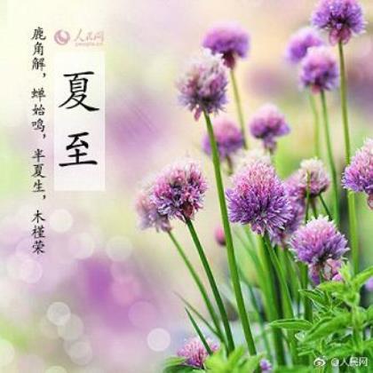 励志语录经典短句学生 文案短句语录