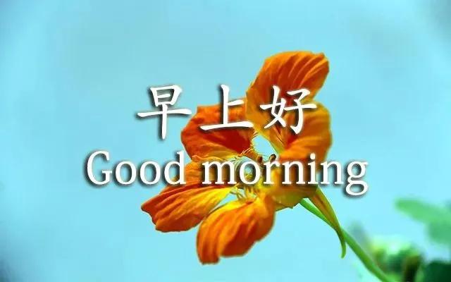 早安正能量简单一句话精致女人阳光句子