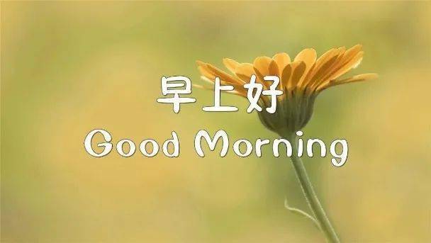 早安正能量简单一句话精致女人阳光句子