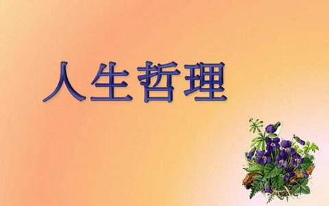 关于人生哲理的句子