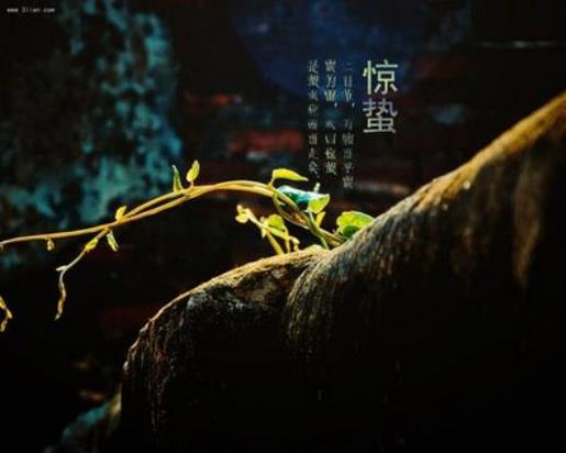 励志语录霸气说说 扣扣说说霸气励志说说
