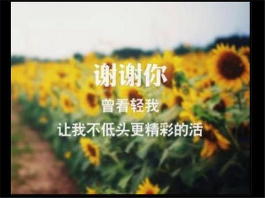 励志语录霸气说说 扣扣说说霸气励志说说
