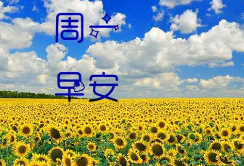 周一的正能量句子简短