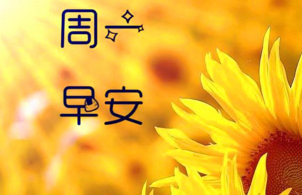 周一发朋友圈的句子和图片