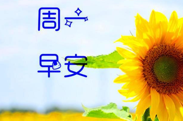 周一发朋友圈的句子和图片