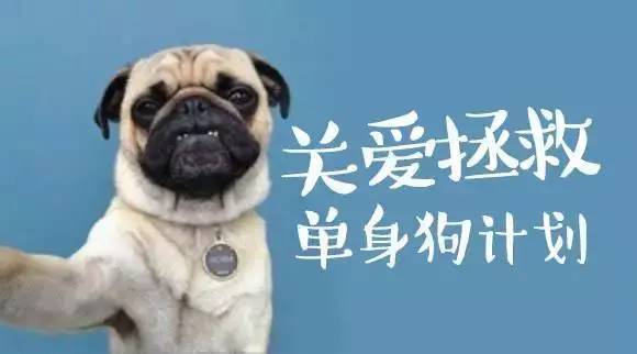 单身必备发朋友圈文案 适合单身狗的幽默句子