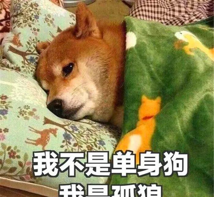 单身必备发朋友圈文案 适合单身狗的幽默句子