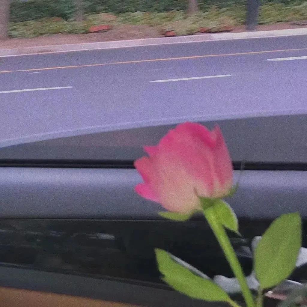 一发就秒赞的经典语录