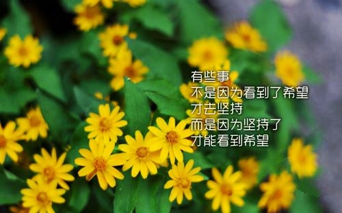 中学生经典座右铭人生格言(41句)