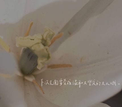 适合销售发的高情商句子 房地产销售发朋友圈的励志说说