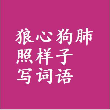 狼心狗肺照样子写词语，结构一样的近义词同义词