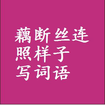 藕断丝连照样子写词语，结构一样的成语