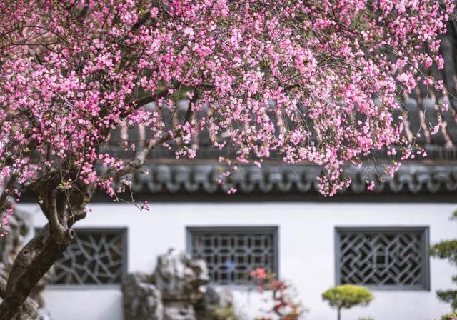 龙陌上情感视频文案