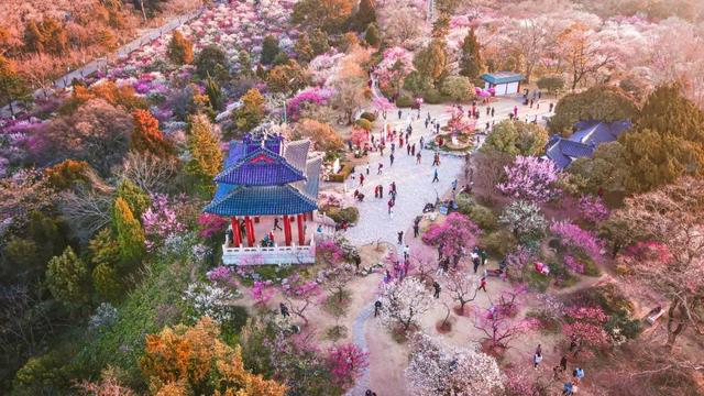龙陌上情感视频文案