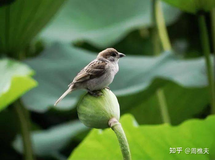 一个人处境变好，是有迹象的，别错过了