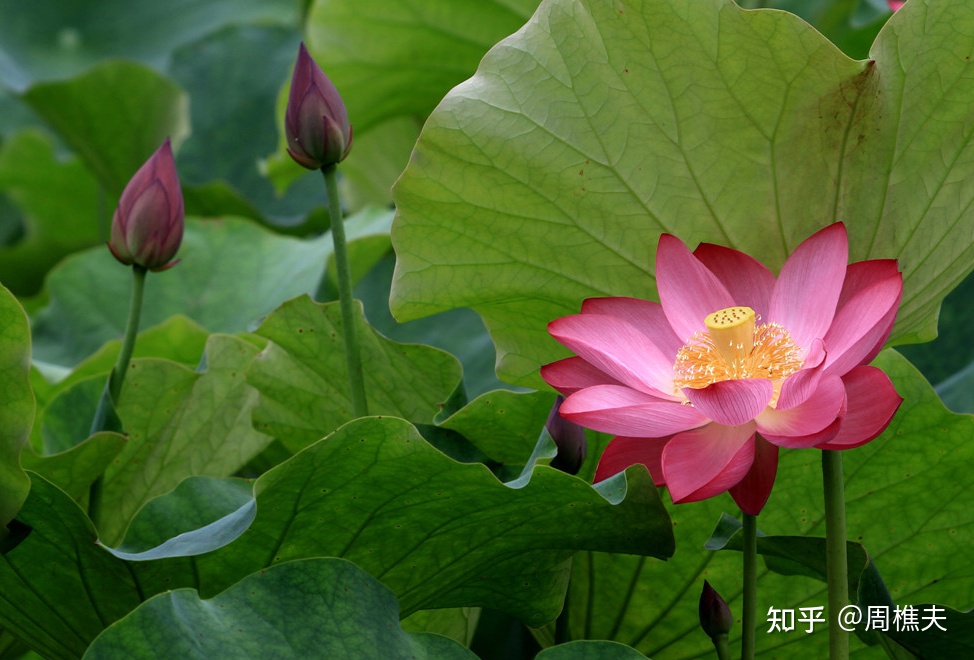 一个人处境变好，是有迹象的，别错过了
