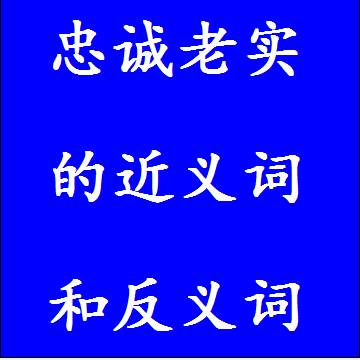 忠诚老实的近义词和反义词分别是什么，标准答案
