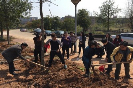 3月12日植树节宣传文案，关于保护环境的句子