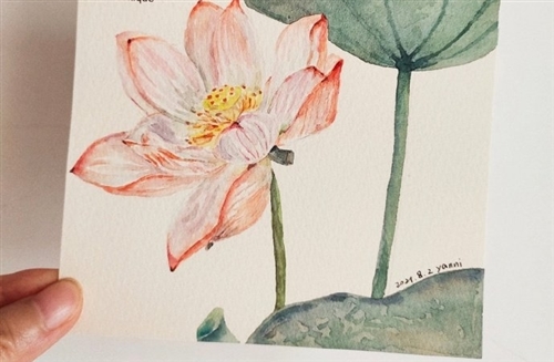 描写秋日荷花池景象的优美句子(精选36句)