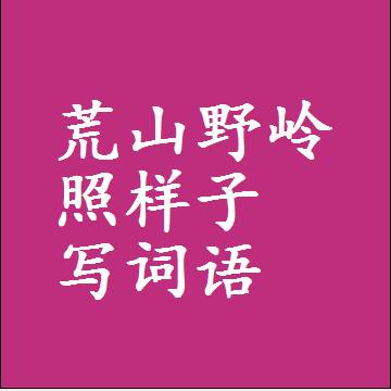 荒山野岭照样子写词语