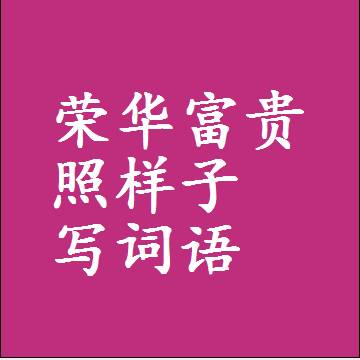荣华富贵照样子写词语