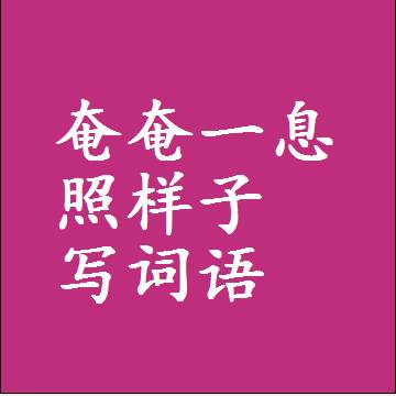 奄奄一息照样子写词语