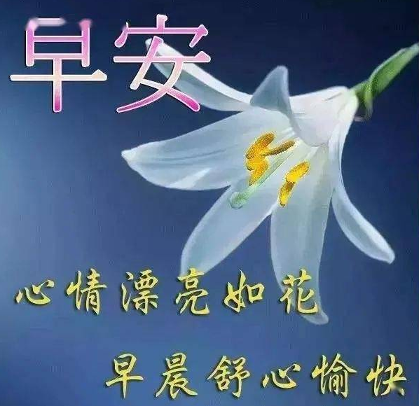 早安充满阳光正能量的励志句子