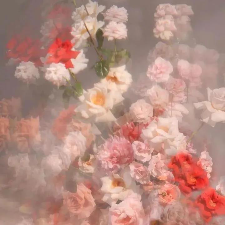 超级温柔的神仙文案