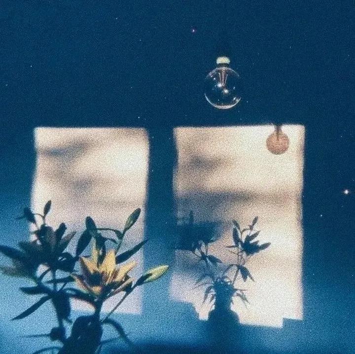 超级温柔的神仙文案