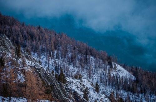 匪我思存《千山暮雪》语录