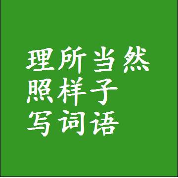理所当然照样子写词语，结构一样的成语