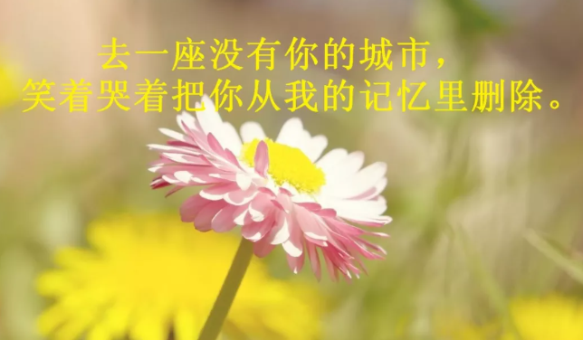 简短心情经典语录 致自己
