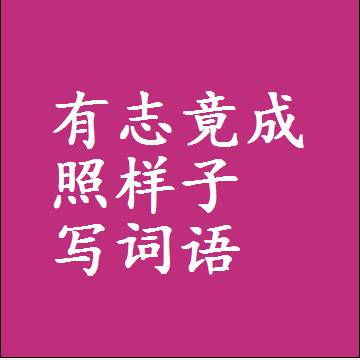 有志竟成照样子写词语