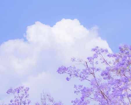 一些美到可以长久存在于脑海里的句子 优美又好听的文案说说31句